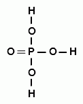 Высокомолекулярные углеводы (полисахариды) - student2.ru