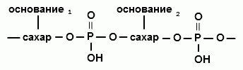 Высокомолекулярные углеводы (полисахариды) - student2.ru