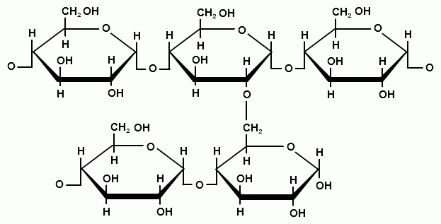 Высокомолекулярные углеводы (полисахариды) - student2.ru