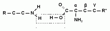 Высокомолекулярные углеводы (полисахариды) - student2.ru