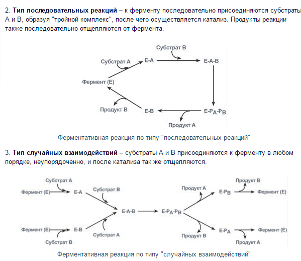 Вывод кинетического уравнения каталитической реакции на примере гомогенно-каталитического разложения пероксида водорода - student2.ru