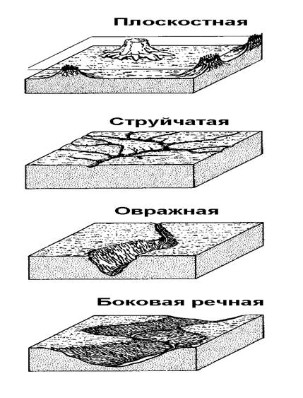 Экзогенные процессы и осадконакопление - student2.ru