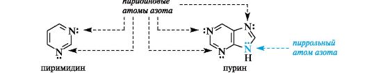 Электронное строение пиррольного атома азота - student2.ru