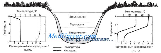 эвтрофикация - student2.ru