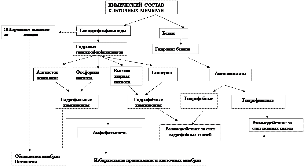 Задания для самопроверки и самокоррекции исходного уровня знаний - student2.ru