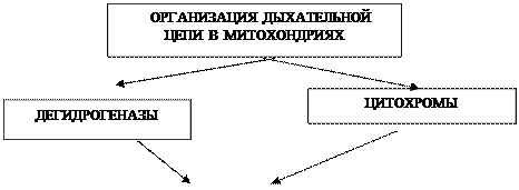 Задания для самостоятельной работы. І. Перепишите дыхательную цепь митохондрий (цепь переноса электронов ( ЦПЭ) - student2.ru