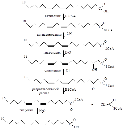 Задания, выполняемые на занятии. - student2.ru