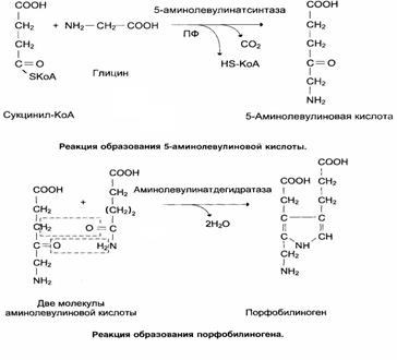 Замена аминокислоты на поверхности гемоглобина А - student2.ru