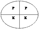 Занятие 11 (II). ГОРМОНЫ. КЛАССИФИКАЦИЯ. ГОРМОНЫ ГИПОТАЛАМУСА, ГИПОФИЗА, ПОДЖЕЛУДОЧНОЙ ЖЕЛЕЗЫ, ЩИТОВИДНОЙ ЖЕЛЕЗЫ. МЕХАНИЗМ ДЕЙСТВИЯ ПЕПТИДНЫХ ГОМОНОВ. - student2.ru