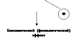 Занятие 11 (II). ГОРМОНЫ. КЛАССИФИКАЦИЯ. ГОРМОНЫ ГИПОТАЛАМУСА, ГИПОФИЗА, ПОДЖЕЛУДОЧНОЙ ЖЕЛЕЗЫ, ЩИТОВИДНОЙ ЖЕЛЕЗЫ. МЕХАНИЗМ ДЕЙСТВИЯ ПЕПТИДНЫХ ГОМОНОВ. - student2.ru