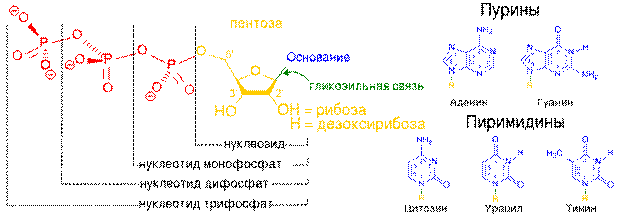 Запасная (резервная) функция - student2.ru