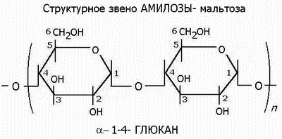 Заполнении межклеточного пространства - student2.ru