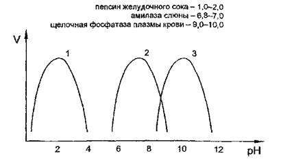 Зависимость скорости ферментативной реакции от рН - student2.ru