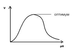 Зависимость скорости реакции от рН - student2.ru