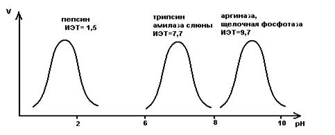 Зависимость скорости реакции от рН - student2.ru