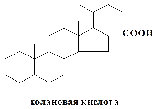 Желчные кислоты; в их основе лежит скелет углеводорода холана - student2.ru