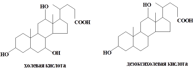Желчные кислоты; в их основе лежит скелет углеводорода холана - student2.ru