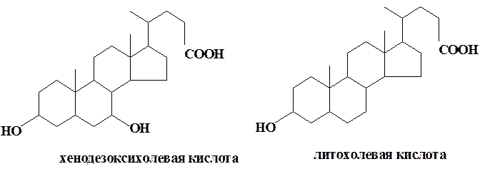Желчные кислоты; в их основе лежит скелет углеводорода холана - student2.ru