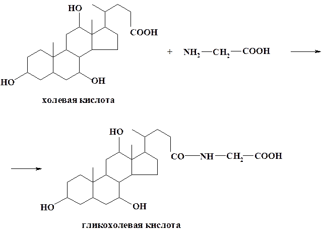 Желчные кислоты; в их основе лежит скелет углеводорода холана - student2.ru