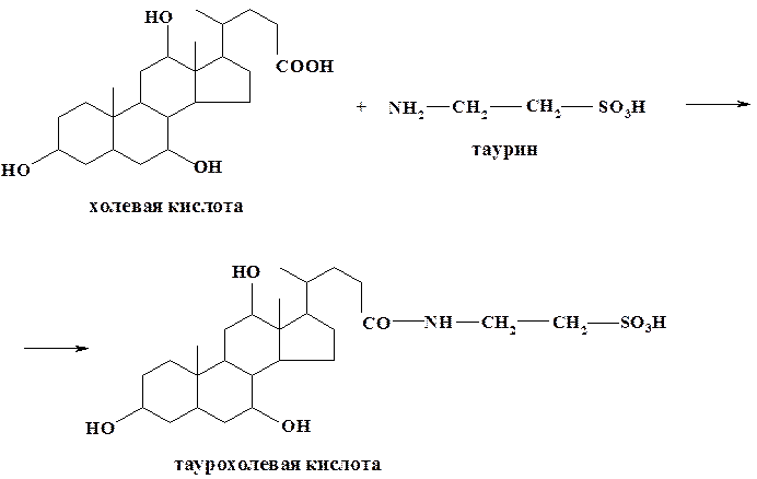 Желчные кислоты; в их основе лежит скелет углеводорода холана - student2.ru