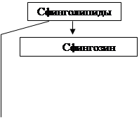 жирнокислотный состав природных жиров - student2.ru