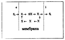 Значение диффузии в биологических процессах - student2.ru