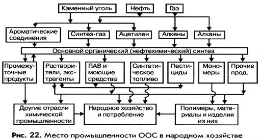 Значение и перспективы развития ООС - student2.ru