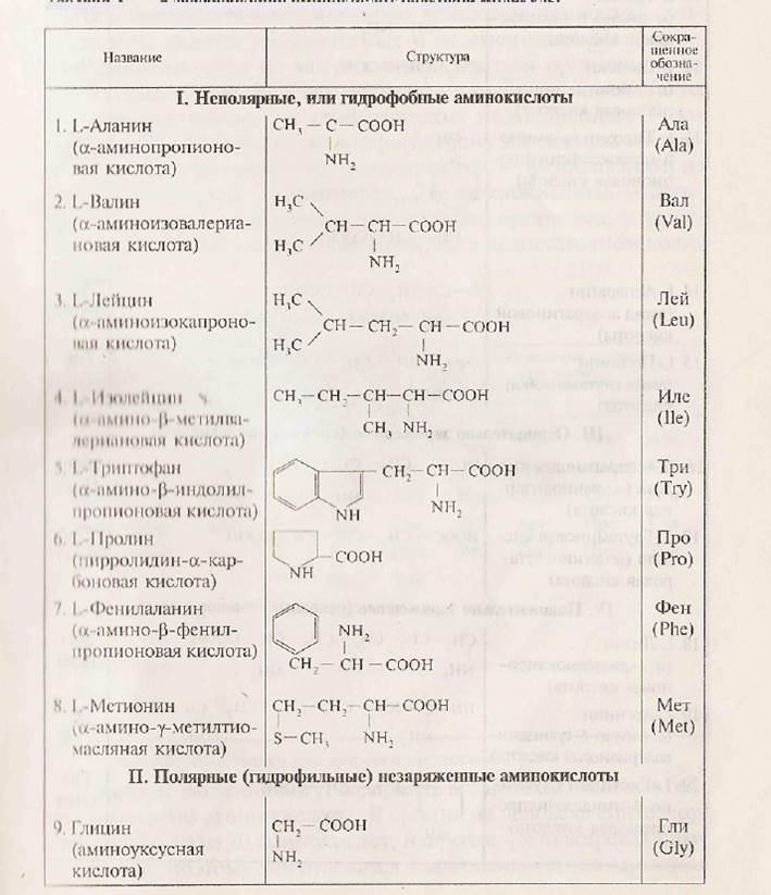 значение пищевых факторов в обеспечении процессов жизнедеятельности - student2.ru