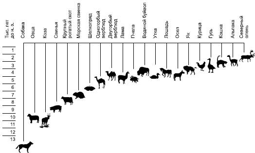 Центры происхождения домашних животных и их дальнейшие миграции - student2.ru