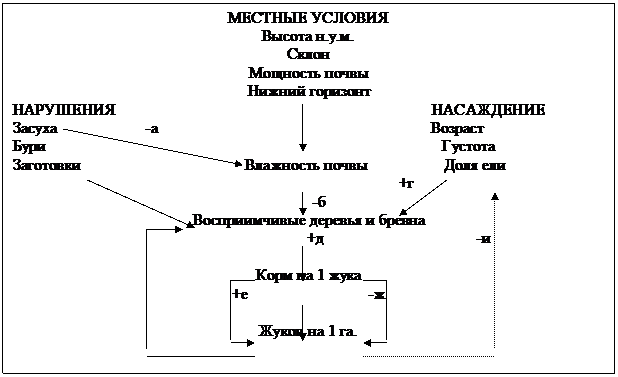 Динамика популяций Ips typographus L. - student2.ru