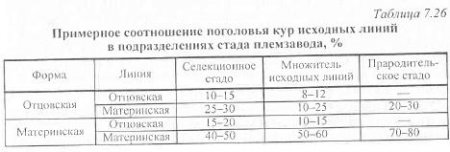 Достоинством холмогорских гусей является быстрый набор живой массы – уже к половозрелости гусыни набираюют 8 кг, а гусаки – 10 кг. Взрослые особи весят уже 11-14 кг. - student2.ru