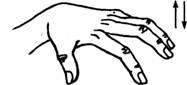 Движения руки всегда тесно связаны с речью и способствуют ее развитию - student2.ru