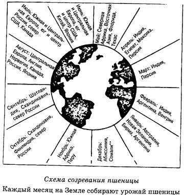 іі. злак в обычном и диетическом питании - student2.ru