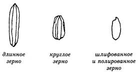 іі. злак в обычном и диетическом питании - student2.ru