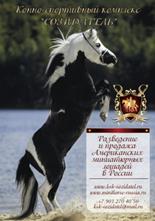 ХХ Испытания по рабочим качествам лошадей класса пони в экипажах - student2.ru