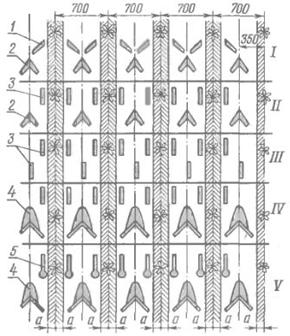 Кратко описать устройство культиватора КОН-2,8А и вычертить схему секции с рабочими органами - student2.ru