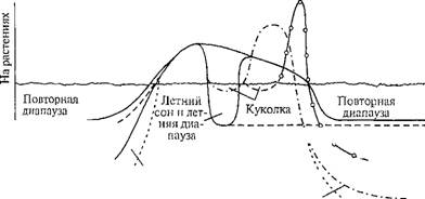 микроклимат и регуляция жизненных циклов - student2.ru