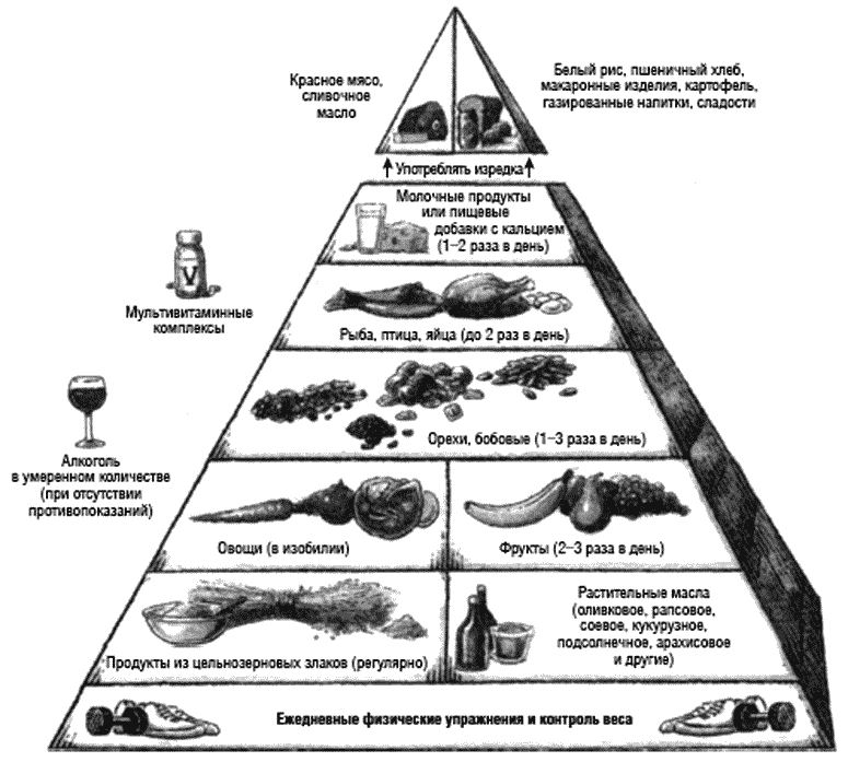 новая пирамида здорового питания - student2.ru