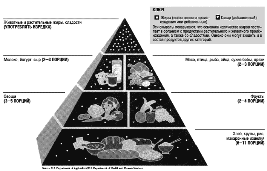 новая пирамида здорового питания - student2.ru