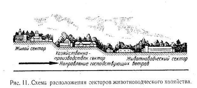 Ознакомление с ядовитыми и вредными растениями - student2.ru