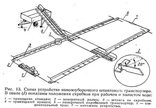 Ознакомление с ядовитыми и вредными растениями - student2.ru