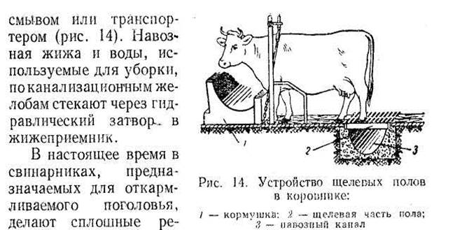 Ознакомление с ядовитыми и вредными растениями - student2.ru