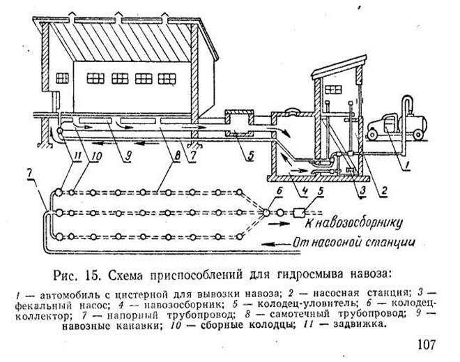 Ознакомление с ядовитыми и вредными растениями - student2.ru