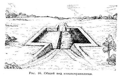 Ознакомление с ядовитыми и вредными растениями - student2.ru