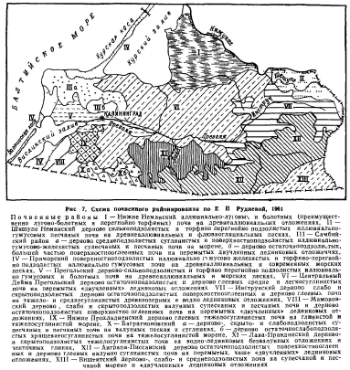 Почвенное районирование Калининградской области - student2.ru