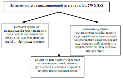 Производство в хозяйственном суде апелляционной инстанции. - student2.ru