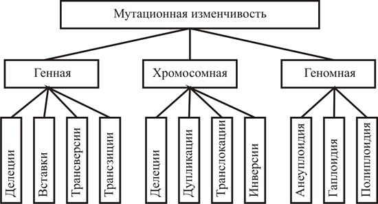 Работа с гибридным материалом - student2.ru