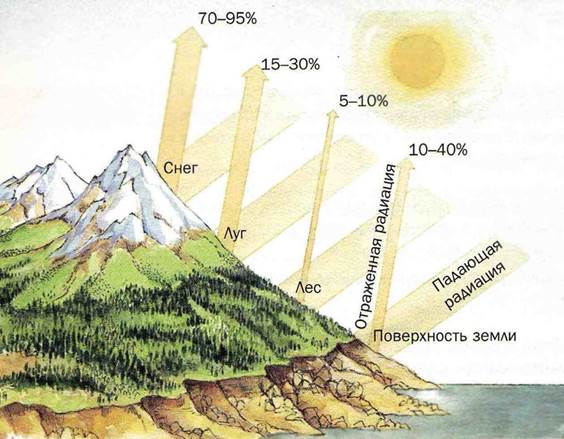 радиационная условия и обстановка. - student2.ru