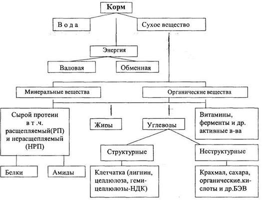 Рецепты сухого заменителя цельного молока для телят - student2.ru