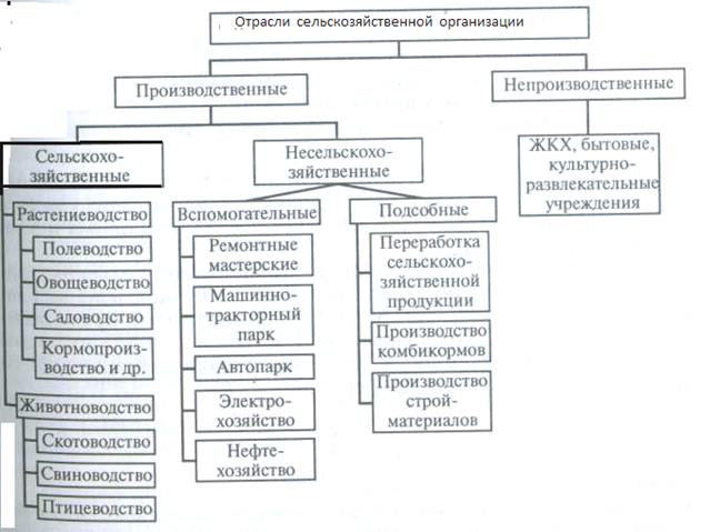 Специализация и сочетание отраслей сельскохозяйственной организации - student2.ru